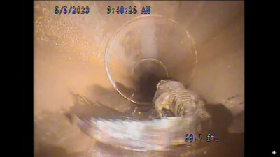 Alligator in underground pipe. (Facebook/@City of Oviedo - City Administration) Alligator in underground pipe. (Facebook/@City of Oviedo - City Administration)