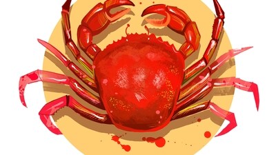 Cancer Daily Horoscope Today for April 13, 2023: ﻿Embrace the regal feeling today as your creative, outgoing spirit gives you wings to conquer all tasks at hand!