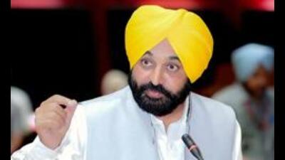 Mann said the new system has been introduced to promote ease of doing business for the entrepreneurs desirous of setting up their units in the state. (HT File Photo) Mann said the new system has been introduced to promote ease of doing business for the entrepreneurs desirous of setting up their units in the state. (HT File Photo)