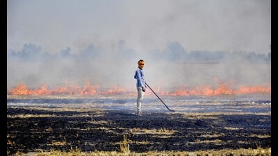 Over 40% of the cases (3,325) were reported in the last three days, the data stated. (HT File Photo) Over 40% of the cases (3,325) were reported in the last three days, the data stated. (HT File Photo)