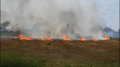 Stubble burns in a field in Makdola village on Farrukhnagar road near SGT university on Thursday. (Parveen Kumar/HT Photo) Stubble burns in a field in Makdola village on Farrukhnagar road near SGT university on Thursday. (Parveen Kumar/HT Photo)