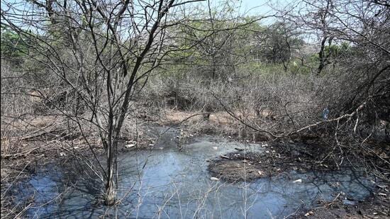 Gurugram, India-May 09, 2023: A water pit in forest area where leachate mix into water bodies near Bandhwari waste treatment plant at Gurugram-Faridabad road; The district wildlife department wrote to the Municipal Corporation of Gurugram(MCG), complaining spillage of leachate from the Bandhwari landfill into the water bodies (mining pits) in Aravalli forests and wildlife drinking the same leading to infection and life threat, in Gurugram, India, on Tuesday, 09 May 2023. (Photo by Parveen Kumar/Hindustan Times)(Pic to go with Leena Dhankar's story)