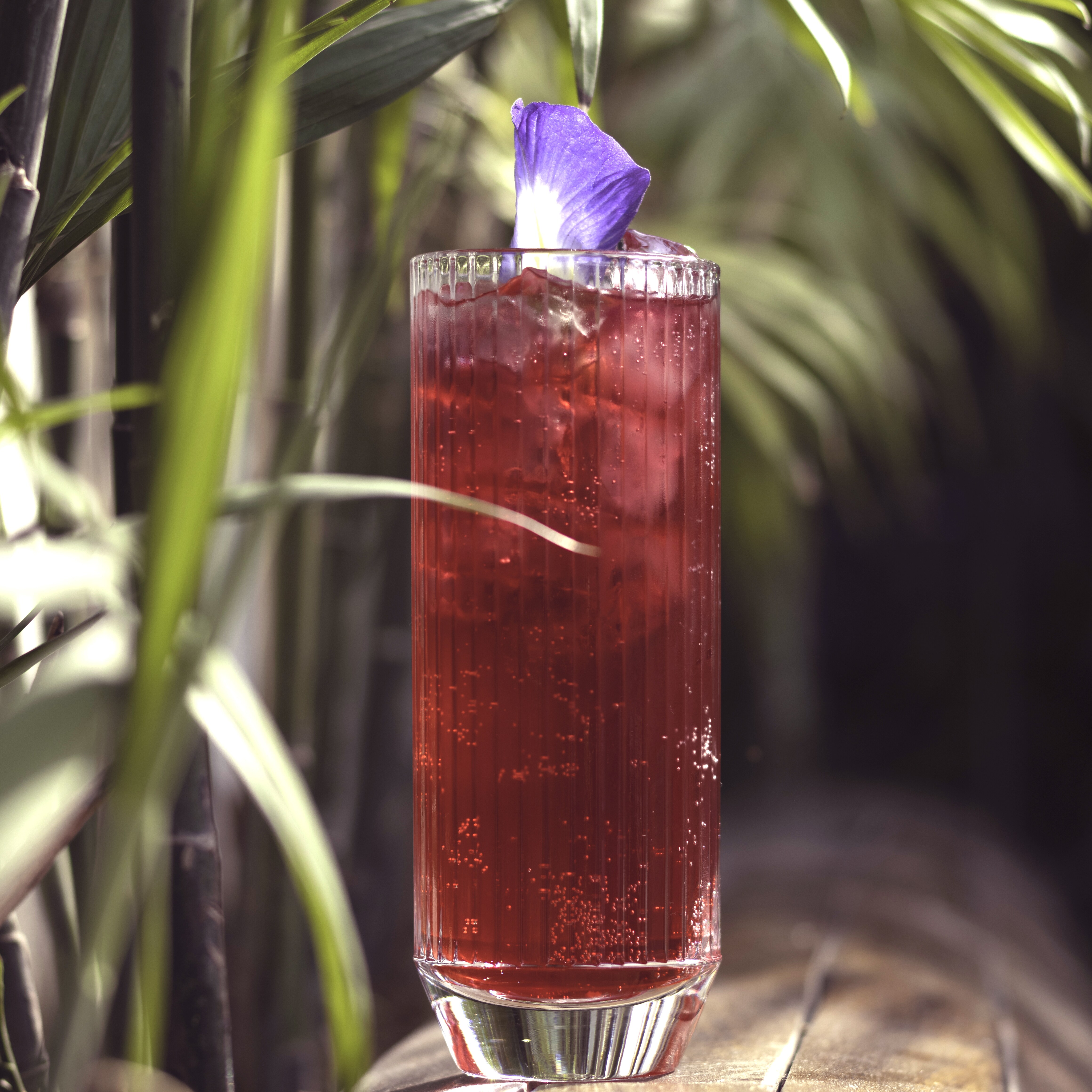 Beetroot & Plum Teq-Tonic Beetroot & Plum Teq-Tonic