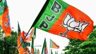 The ruling BJP swept the mayoral elections in Uttar Pradesh winning the posts in all the 17 municipal corporations on Saturday. The ruling BJP swept the mayoral elections in Uttar Pradesh winning the posts in all the 17 municipal corporations on Saturday.