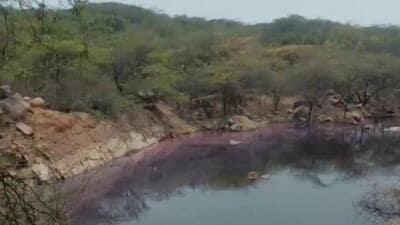 Leachate being removed from a water body in Bandhwari on Saturday. (HT Photo) Leachate being removed from a water body in Bandhwari on Saturday. (HT Photo)