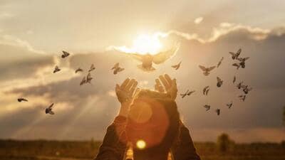 While forgiving others is essential for spiritual growth, yet tolerating tyranny is not it! (Shutterstock) While forgiving others is essential for spiritual growth, yet tolerating tyranny is not it! (Shutterstock)