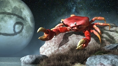 Cancer Weekly Horoscope May 14- 20, 2023: ﻿Love is the focus this week for Cancer.