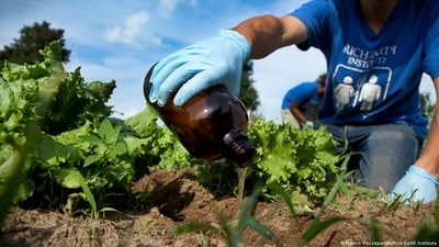 Researchers say we shouldn't just dump our business in the toilets and forget it. They suggest using it to grow food. (Marcin Szczepanski/Rich Earth Institute) Researchers say we shouldn't just dump our business in the toilets and forget it. They suggest using it to grow food. (Marcin Szczepanski/Rich Earth Institute)