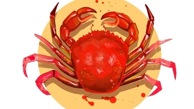 Cancer Daily Horoscope Today for April 15, Today is an excellent day for finding your special someone.