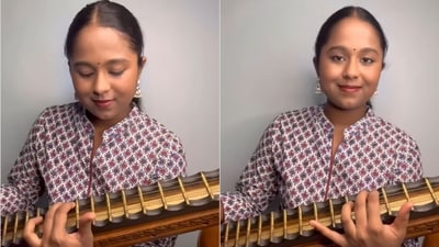 The image, taken from the video, shows a woman playing Bhediya song Apna Bana Le on the veena. (Instagram/@veenaxgaana) The image, taken from the video, shows a woman playing Bhediya song Apna Bana Le on the veena. (Instagram/@veenaxgaana)