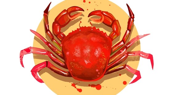 Cancer Daily Horoscope Today for April 15, Today is an excellent day for finding your special someone.