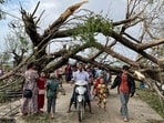 Residents walk past fallen trees in Kyauktaw in Myanmar's Rakhine state on May 15, after Cyclone Mocha crashed ashore in Myanmar and southeastern Bangladesh on May 14. The cyclone carried winds of up to 195 kilometres (120 miles) per hour uprooting trees, scattering flimsy homes in Rohingya displacement camps, and bringing a storm surge into low-lying areas, reported AFP.&nbsp;