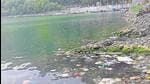 The report also said that 76.3% (2,361) water bodies are public owned whereas the remaining 23.7% (735) are private. (HT file image)