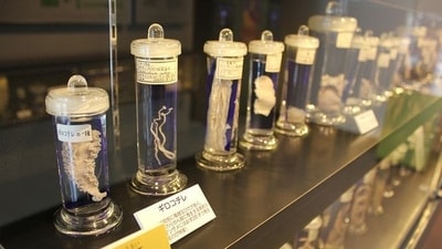 The Meguro Parasitological Museum in Tokyo, Japan: This museum focuses on parasites and their impact on humans and animals, featuring a vast collection of preserved specimens, educational exhibits, and interactive displays. (Pinterest) The Meguro Parasitological Museum in Tokyo, Japan: This museum focuses on parasites and their impact on humans and animals, featuring a vast collection of preserved specimens, educational exhibits, and interactive displays. (Pinterest)