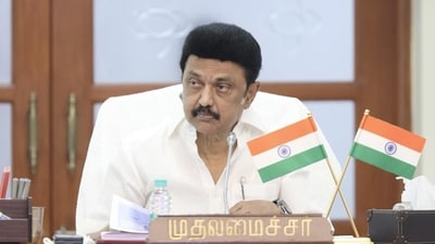 Tamil Nadu chief minister MK Stalin (HT File Photo) Tamil Nadu chief minister MK Stalin (HT File Photo)