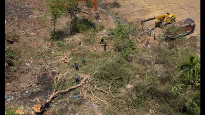 Of the 5,032 new trees earmarked for felling, 3,747 are located in Palghar district, of which 3,066 are located within the Vasai Virar Municipal Corporation (VVMC) limits. They include 38 heritage trees, which are at least 50 years old or more. Another 681 trees are located in Ghlovira, Vevoor, Navali and Morivali villages, which will go for the National High Speed Rail Corporation Limited’s 508-km long bullet train. (Anshuman Poyrekar/HT PHOTO) Of the 5,032 new trees earmarked for felling, 3,747 are located in Palghar district, of which 3,066 are located within the Vasai Virar Municipal Corporation (VVMC) limits. They include 38 heritage trees, which are at least 50 years old or more. Another 681 trees are located in Ghlovira, Vevoor, Navali and Morivali villages, which will go for the National High Speed Rail Corporation Limited’s 508-km long bullet train. (Anshuman Poyrekar/HT PHOTO)