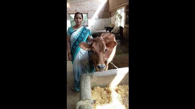 Sudha Pandey runs a prolific dairy business with 11 other women of her self-help group in Sitapur’s Kunwarpur village. (Sourced) Sudha Pandey runs a prolific dairy business with 11 other women of her self-help group in Sitapur’s Kunwarpur village. (Sourced)