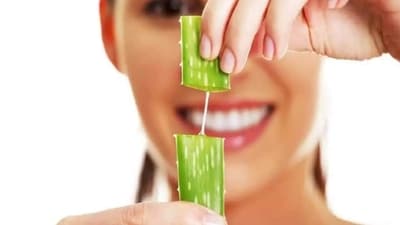 Skincare tips: 10 ways to use aloe vera during the summer months (Photo by Pexels) Skincare tips: 10 ways to use aloe vera during the summer months (Photo by Pexels)