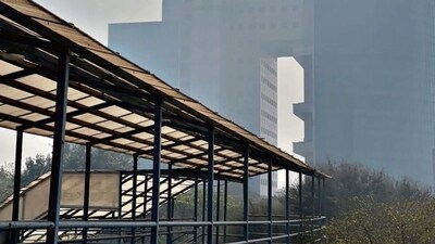 Delhiwale