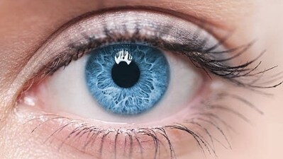 The human eye (HT File Photo) The human eye (HT File Photo)