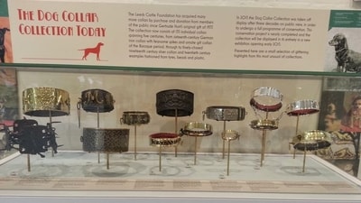 The Dog Collar Museum, England: This museum is a unique collection housed in Leeds Castle, UK, displaying a wide variety of historic and ornate dog collars from different eras. It provides a fascinating glimpse into the history of canine fashion and the evolving relationship between humans and their beloved pets. (Pinterest) The Dog Collar Museum, England: This museum is a unique collection housed in Leeds Castle, UK, displaying a wide variety of historic and ornate dog collars from different eras. It provides a fascinating glimpse into the history of canine fashion and the evolving relationship between humans and their beloved pets. (Pinterest)