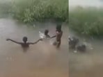 The kids manage to escape the hippo's jaws. The kids manage to escape the hippo's jaws.