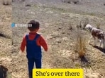 Little boy helping a lost lamb reunite with its mother. Little boy helping a lost lamb reunite with its mother.