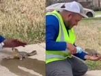 Man feeding water to the squirrel. Man feeding water to the squirrel.