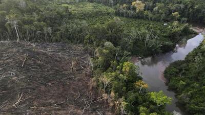 According to the guidelines, identified land should be a compact patch of minimum 25 hectares. (AP photo | Representative image) According to the guidelines, identified land should be a compact patch of minimum 25 hectares. (AP photo | Representative image)
