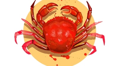 Cancer Daily Horoscope Today for April 17, 2023: Opportunities will knock at you in the office.