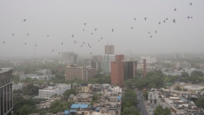 A flock of pigeons fly as dust envelopes the horizon in Delhi on Tuesday. (AP)