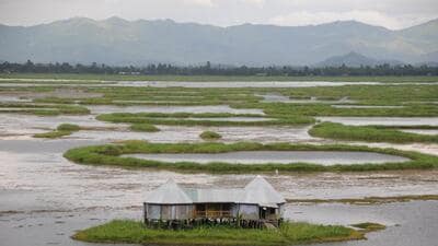 The lake is rich in biodiversity and has been designated as a wetland of international importance under the Ramsar Convention in 1990. (Sharada Prasad CS / Wikimedia Commons)