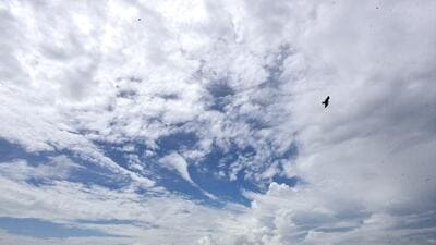 The monsoon is critical to India’s economy. (HT PHOTO) The monsoon is critical to India’s economy. (HT PHOTO)