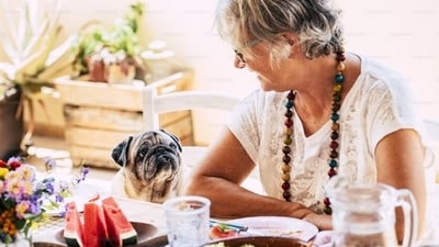 While many dog treats contain meat-based ingredients, there are plenty of delicious and nutritious vegetarian options available (Unsplash) While many dog treats contain meat-based ingredients, there are plenty of delicious and nutritious vegetarian options available (Unsplash)