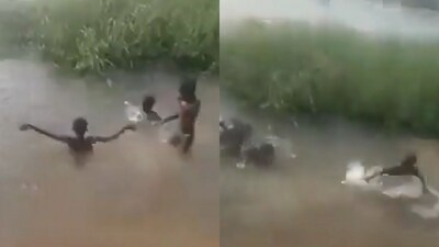 The kids manage to escape the hippo's jaws. (Twitter/@TerrifyingNatur) The kids manage to escape the hippo's jaws. (Twitter/@TerrifyingNatur)