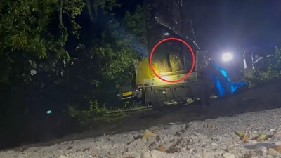 The image, taken from the viral video, shows the leopard in a pickup truck moments before it makes a mighty leap. (Twitter/@ParveenKaswan) The image, taken from the viral video, shows the leopard in a pickup truck moments before it makes a mighty leap. (Twitter/@ParveenKaswan)