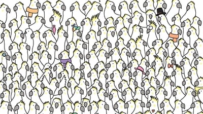 Viral Brain Teaser: Can you quickly find all four doves hidden in plain sight in this pic? (Facebook/@thedudolf) Viral Brain Teaser: Can you quickly find all four doves hidden in plain sight in this pic? (Facebook/@thedudolf)