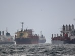 Vessels are seen as they wait for inspection under United Nation's Black Sea Grain Initiative in the southern anchorage of the Bosphorus in Istanbul, Turkey.