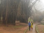 When you can’t remove Cubbon Park out of our best songs, how can you remove lovers out of Cubbon Park? 