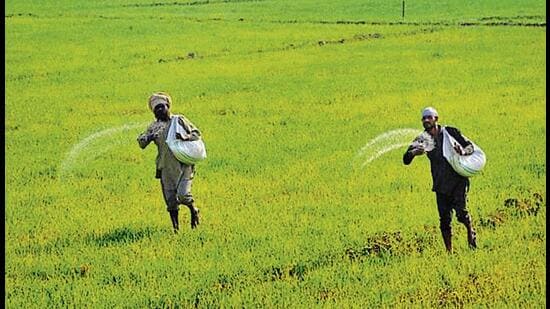India’s food security is closely linked to the availability of fertilisers. (Representational image)