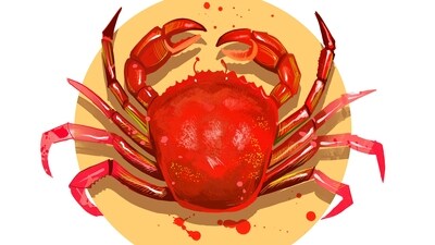 Cancer Daily Horoscope Today for April 19, 2023: Today, your love life will be at its best.