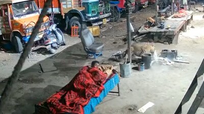 Leopard takes away dog who was sleeping beside a man. (Twitter/@Neha Panchamiya) Leopard takes away dog who was sleeping beside a man. (Twitter/@Neha Panchamiya)