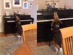 Dog spends his evening playing piano. Dog spends his evening playing piano.