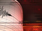 The earthquake was detected at a depth of 37 kilometres (23 miles). 