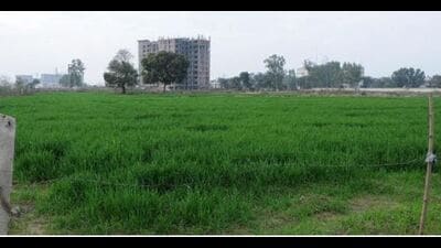 A recent survey by the rural development and panchayats department Punjab revealed that the government owns 140,441 (1.4 lakh) acres more village common (panchayat) land than what was on their records. The value of the said land runs into thousands of crore of rupees. (HT File)