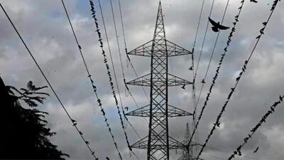 Due to technical failure, the Maharashtra State Electricity Transmission Company Limited (MSETCL) substation had to be shut down, making load management impossible. (REPRESENTATIVE PHOTO) Due to technical failure, the Maharashtra State Electricity Transmission Company Limited (MSETCL) substation had to be shut down, making load management impossible. (REPRESENTATIVE PHOTO)