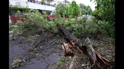 IMD officials said wind speeds went up to 70 km per hour for a few seconds and similar wind speeds will be unlikely in the coming days as clear weather is expected. (Keshav Singh/HT) IMD officials said wind speeds went up to 70 km per hour for a few seconds and similar wind speeds will be unlikely in the coming days as clear weather is expected. (Keshav Singh/HT)