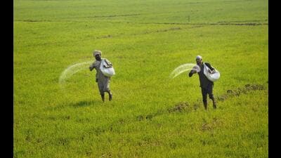 In the face of mounting farmer suicides in the Marathwada region of Maharashtra, Gadge decided to study and address the deep-rooted issues plaguing the agricultural community. (REPRESENTATIVE PIC) In the face of mounting farmer suicides in the Marathwada region of Maharashtra, Gadge decided to study and address the deep-rooted issues plaguing the agricultural community. (REPRESENTATIVE PIC)