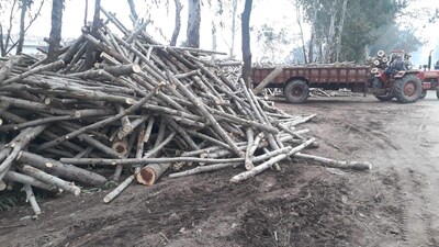 Several teams have been formed in all the police stations of Doda district to survey the forest area in their respective jurisdiction. (HT File Photo ( Representational Photo) )