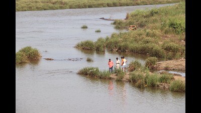 The Sonepat police said the Class 10 girl had drowned and divers were pressed into service to fish out her body but the operation was on till the filing of the report. The girl hails from a Rohtak village. (File photo) The Sonepat police said the Class 10 girl had drowned and divers were pressed into service to fish out her body but the operation was on till the filing of the report. The girl hails from a Rohtak village. (File photo)